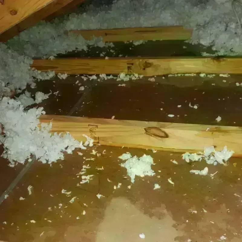 Attic Water Damage in Atlantic City, NJ