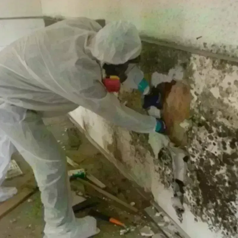 Mold Remediation and Removal in Atlantic City, NJ